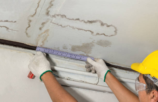 Reliable Mold Remediation contractor in Buckley, WA by Water Damage Irwin
